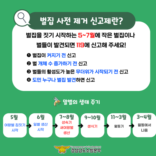 거창소방서, 작은 벌집을 보면 바로 신고해주세요